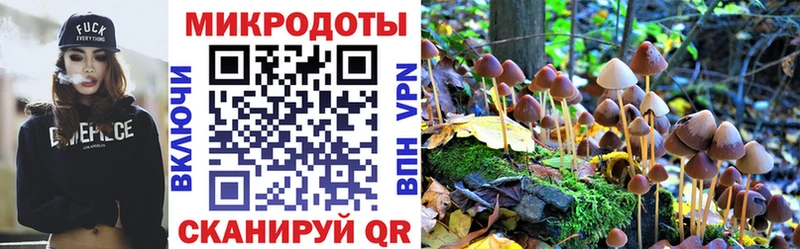 Галлюциногенные грибы ЛСД  где можно купить наркотик  Яровое 